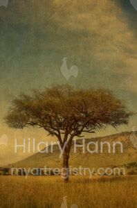 Lone Tree