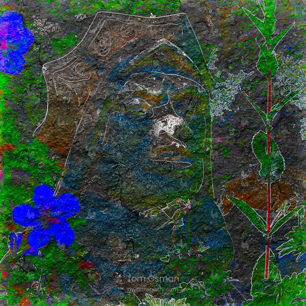Covid Horizons 3