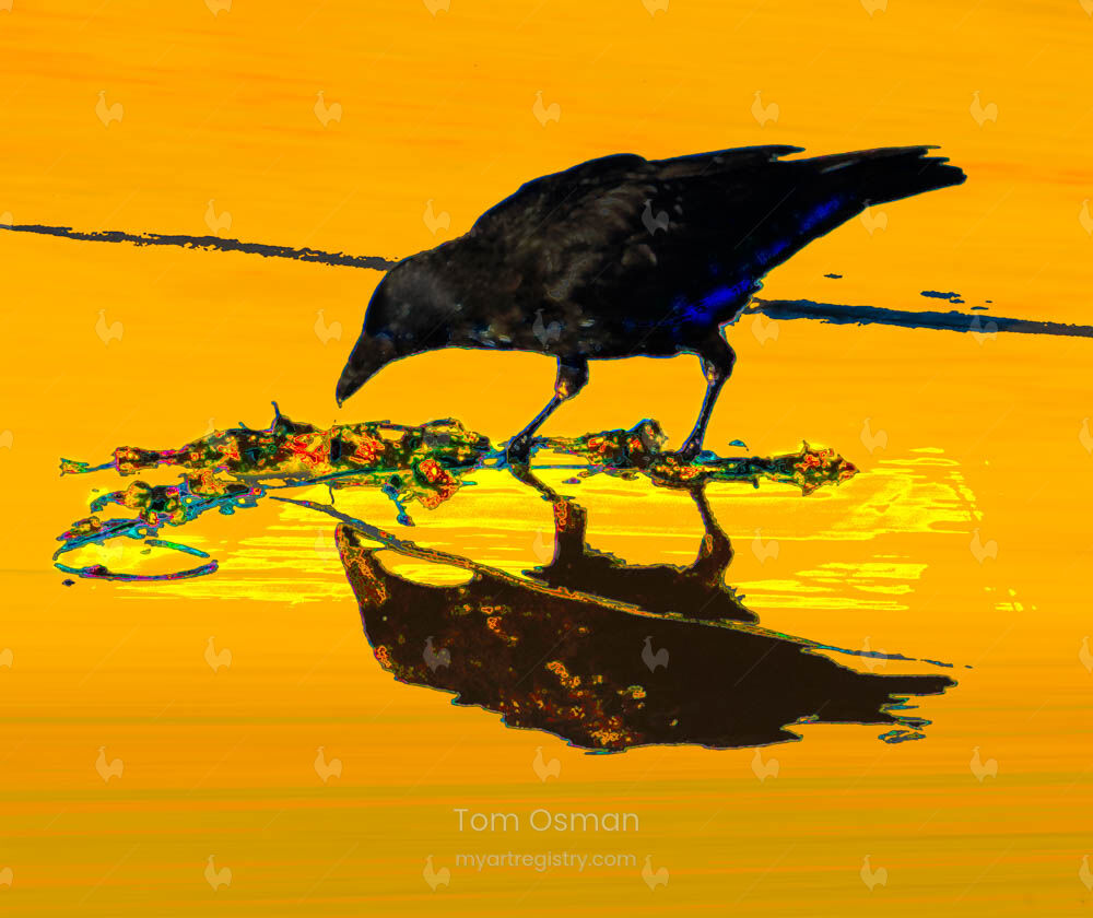 Echo with  crow