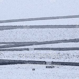 Penistone Winter with Sheep I