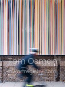 Dynamism of a Man on a Bicycle