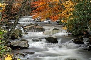 A River Runs Through It