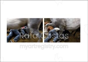 Diptych: Horse Out, Horse In