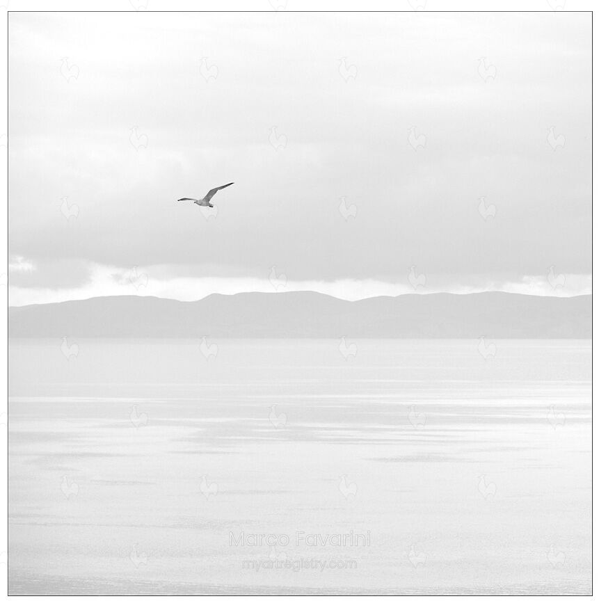 Lago Alto