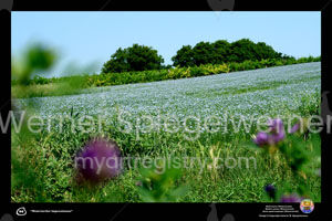 069 IMPRESSIONEN