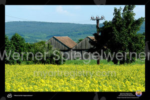 068 IMPRESSIONEN