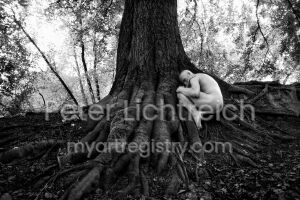 Rebirth (2009)