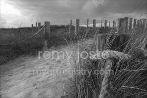 Chemin de la dune