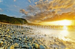 Pacific Sunrise, 2011