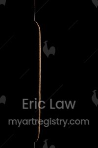 Cattail