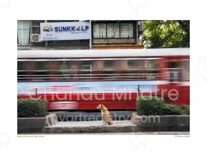 Waiting for the buss