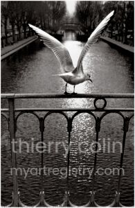 CANAL SAINT-MARTIN