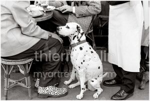 AU CAFE DE FLORE