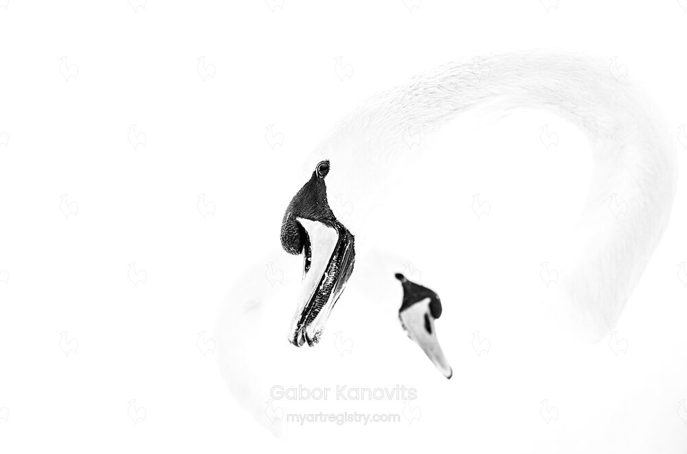 Tension