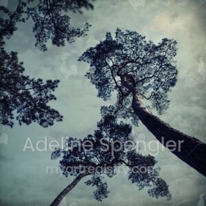L’arbre à contes, 2011