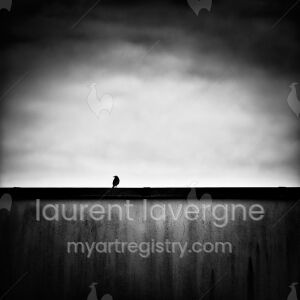 L’oiseau sur le mur