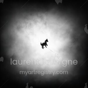 Le cheval dans le ciel