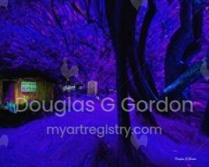 Enchanted Forest