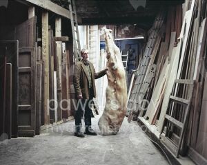Martin from the series ’The Collector’
