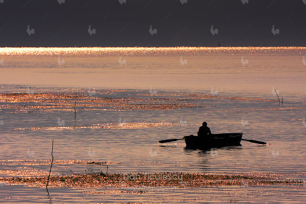 "Fisherman on the Danube River". Limited edition of 14 prints.