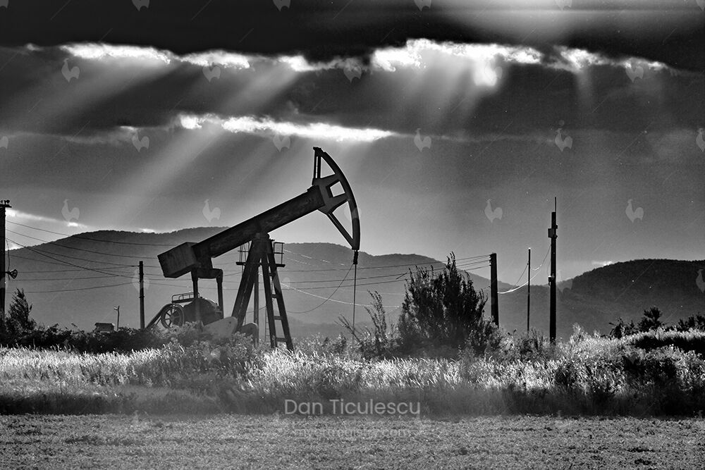 "Oil". Limited edition of 10 prints.
