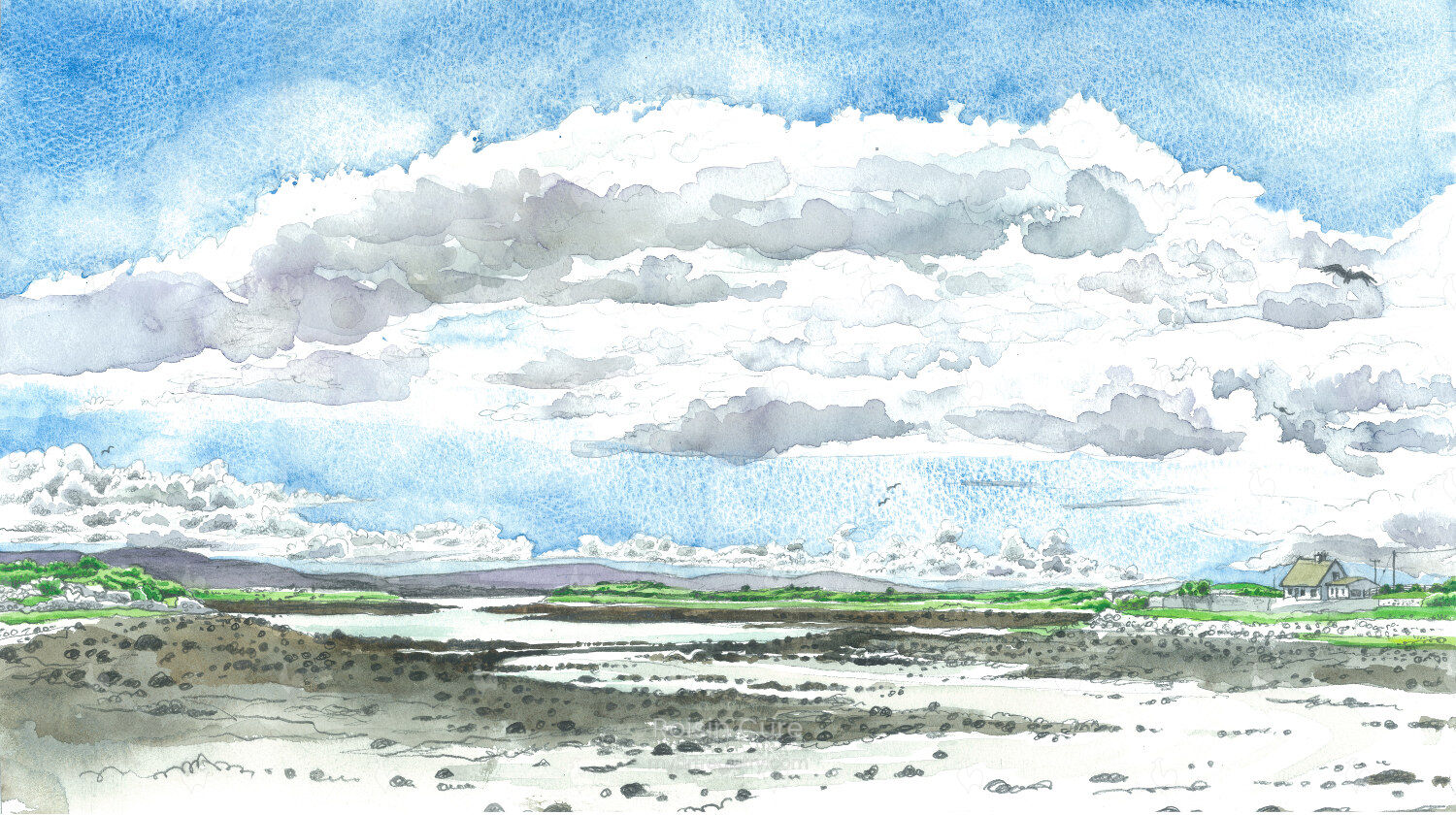 Brandy Bay