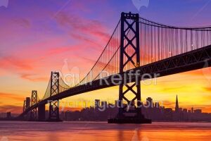 Save Me San Francisco - LE
