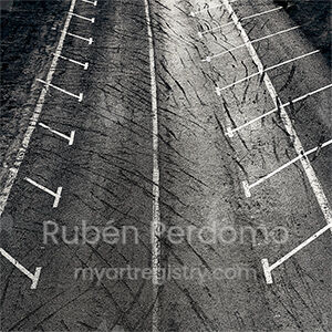 Epidermis