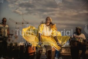 Rhythm of Life 1