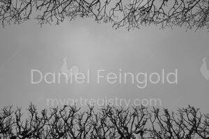 Homenagem ao Retângulo, subsérie Planos, imagem #33