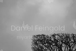 Homenagem ao Retângulo, subsérie Planos, imagem #29