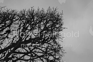 Homenagem ao Retângulo, subsérie Planos, imagem #26
