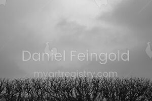 Homenagem ao Retângulo, subsérie Planos, imagem #16