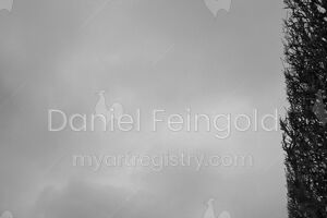 Homenagem ao Retângulo, subsérie Planos, imagem #13