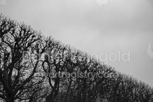 Homenagem ao Retângulo, subsérie Planos, imagem #08