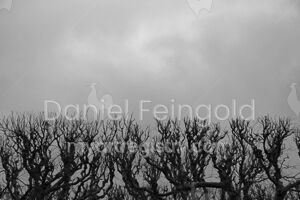 Homenagem ao Retângulo, subsérie Planos, imagem #05
