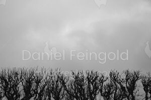 Homenagem ao Retângulo, subsérie Planos, imagem #04