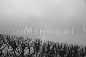 Homenagem ao Retângulo, subsérie Planos, imagem #03