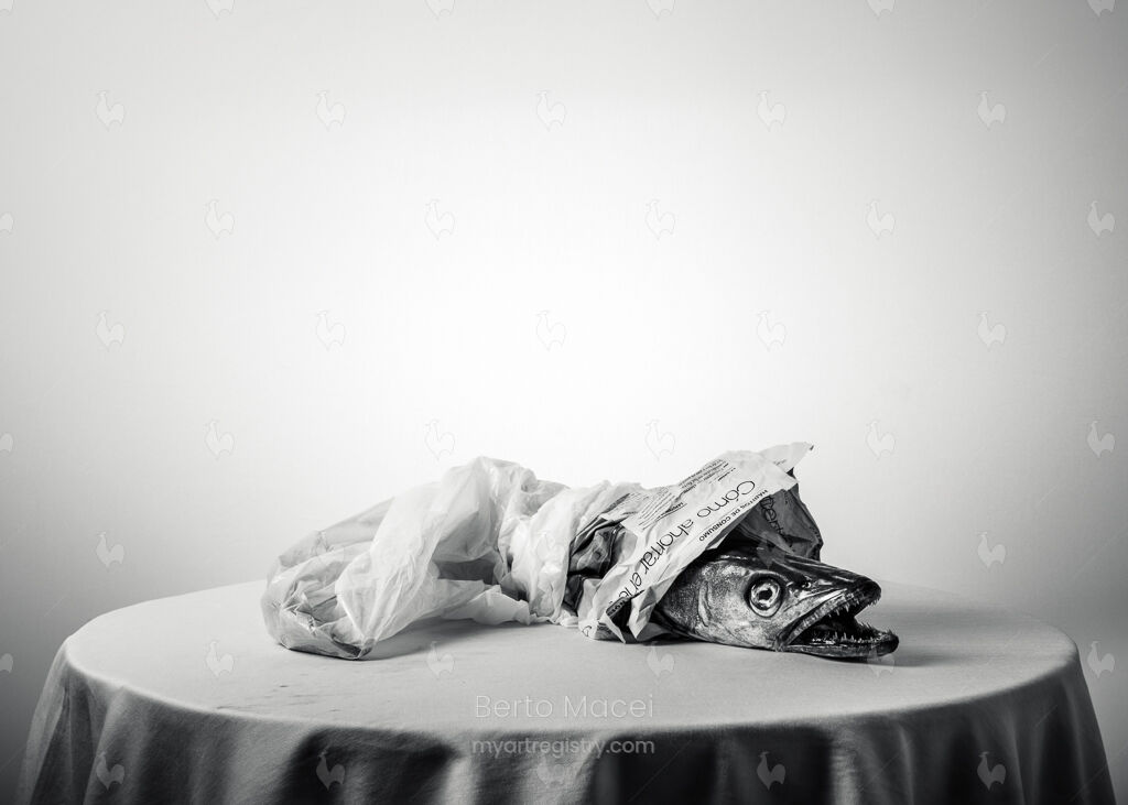 Untitled núm. XI