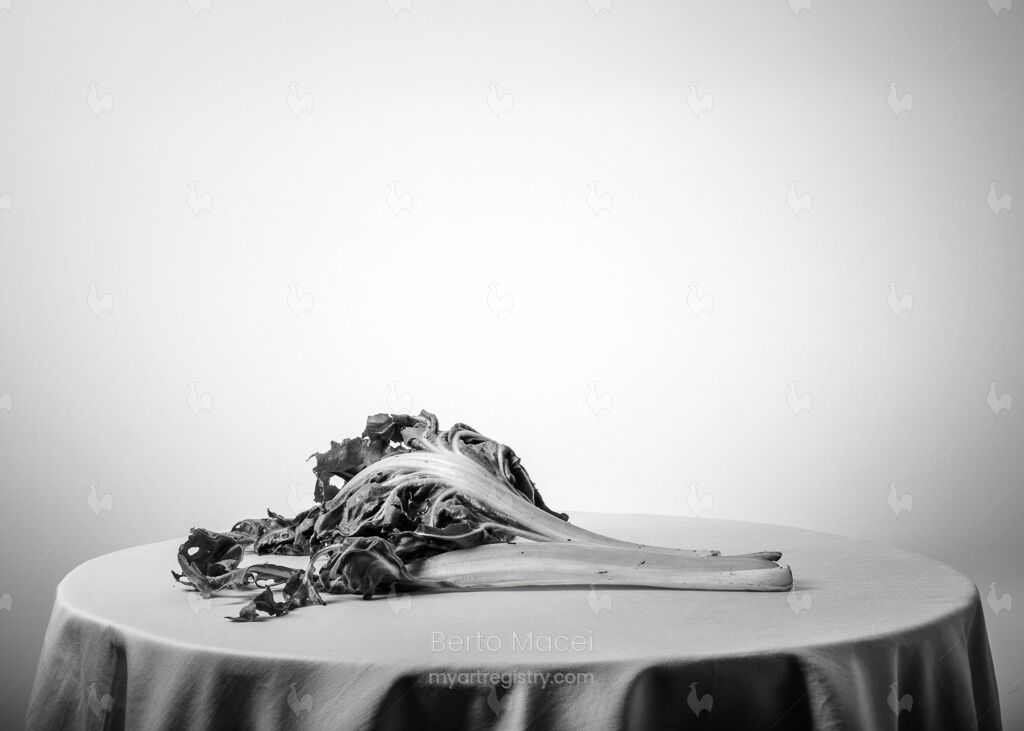 Untitled núm. VI