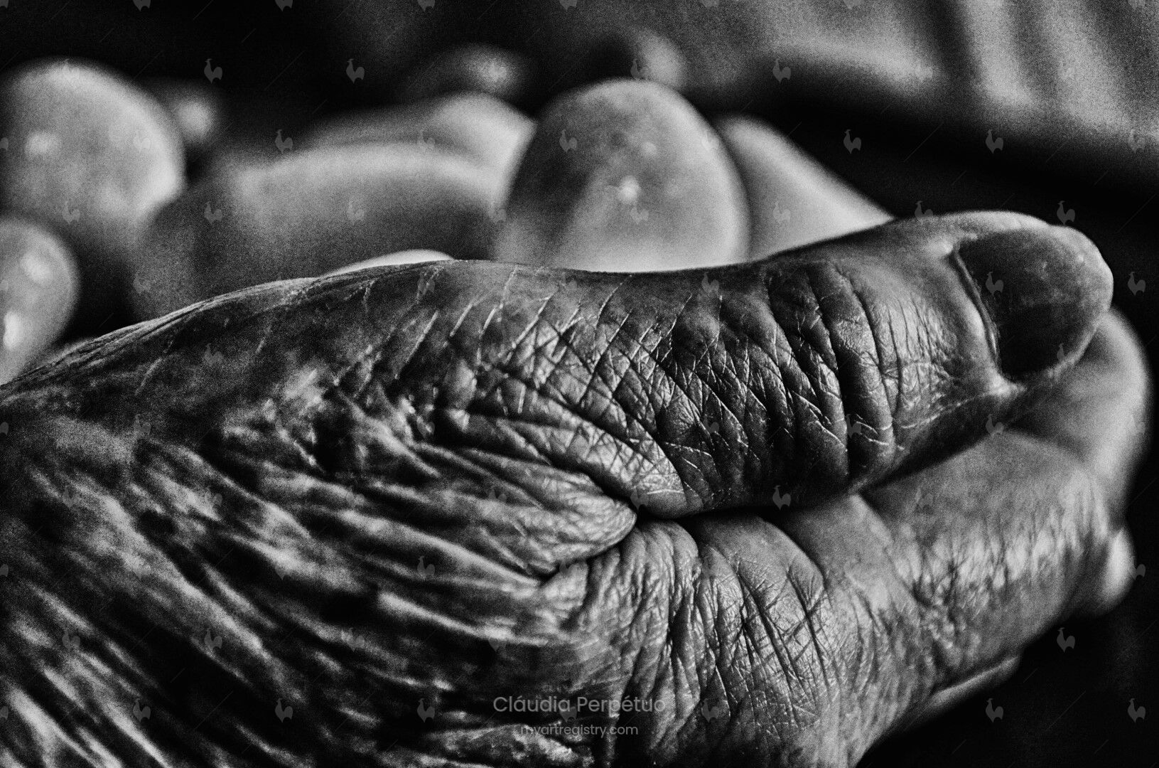 Stonehand 4