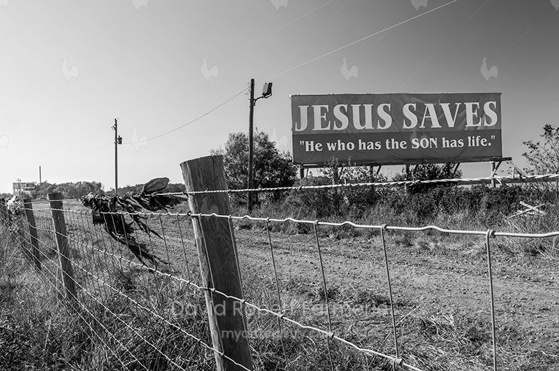 He Who Has The Son