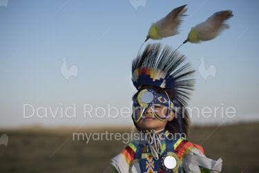Grass Dancer