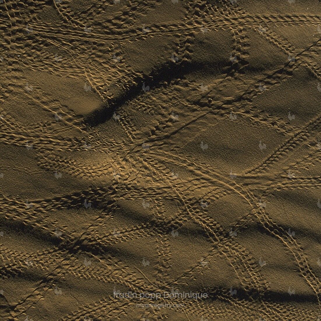 Serie Au fil de l'onde - ins#temps 008_01
