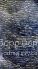 Frise_01 - serie Sfumato Dolpo