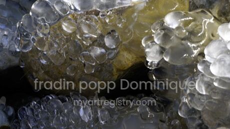 "Grappes 01" - série Sfumato Dolpo