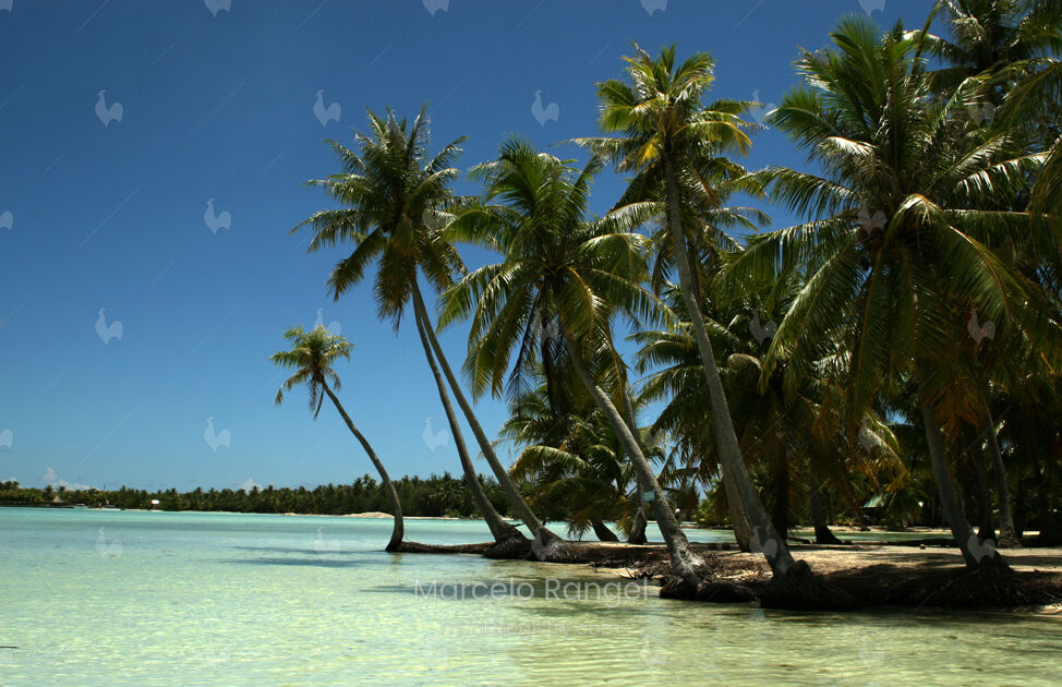 Tahiti#1