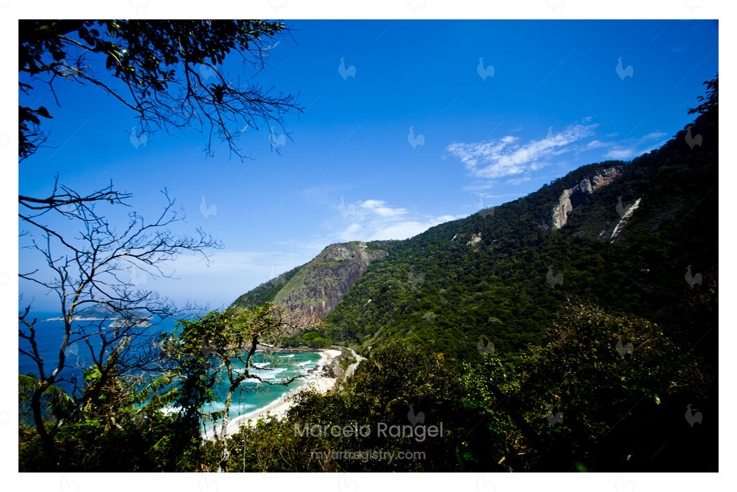 Prainha Beach forest