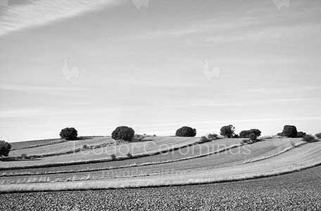 Camps a la meseta castellana