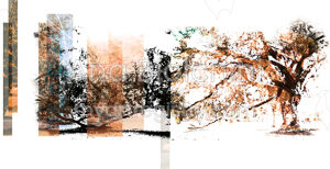 Endurance in Orange